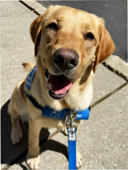 helia smiling at the camera outside